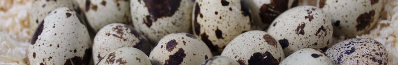 6f18e942-d184-4eca-9c45-c2e2fc2ea487-whatsapp image 2025-01-07 at 18.21.33 (1).jpeg